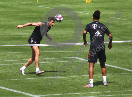 25.07.2020, FC Bayern Muenchen, Training

Hier nur Vorschaubilder !